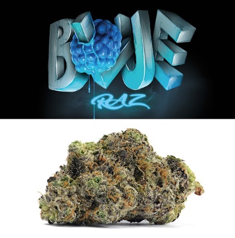 Photograph of product: 3.5g Blue Raz Flower