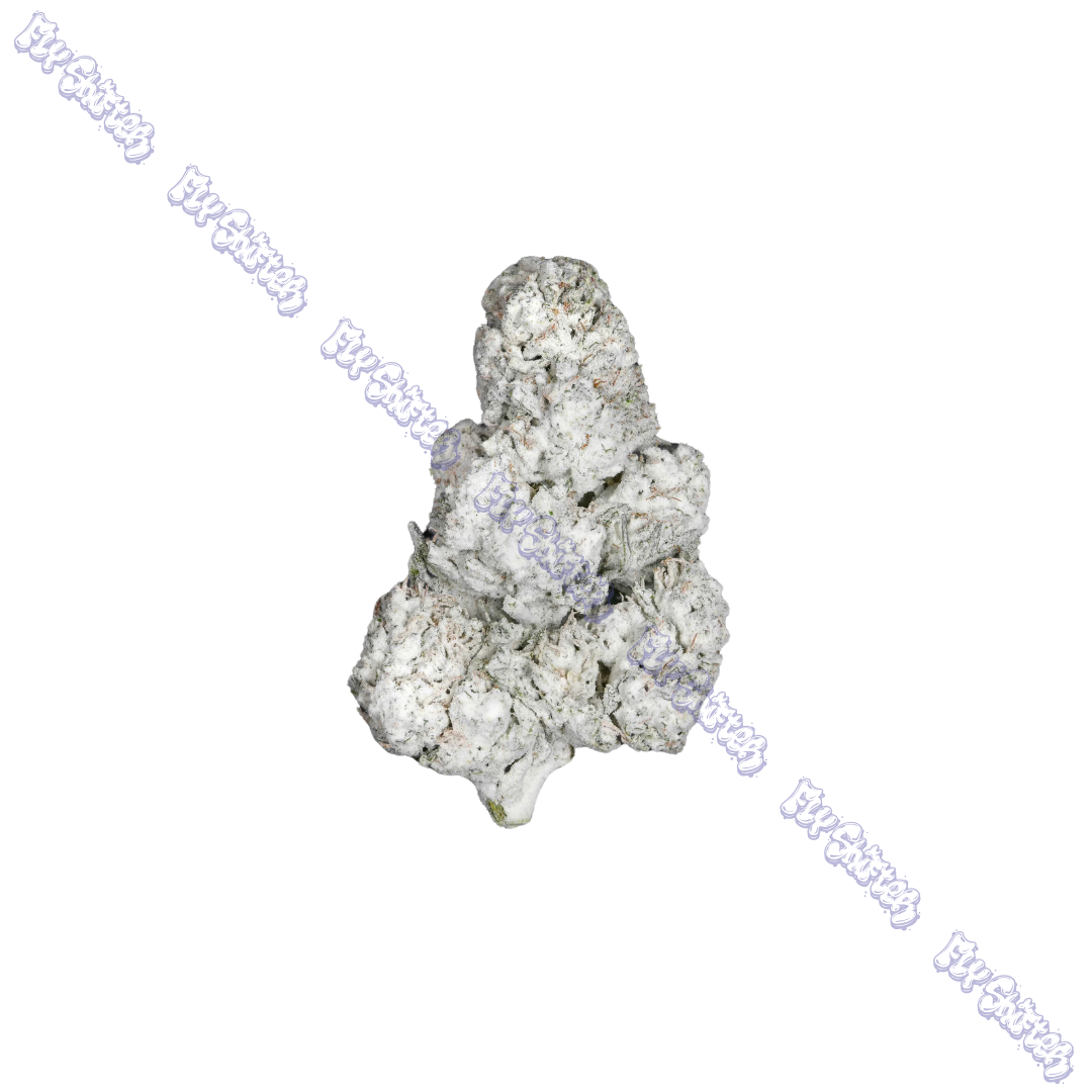 Photograph of product: Purple Alien TH-ouiA Infused Snowballs