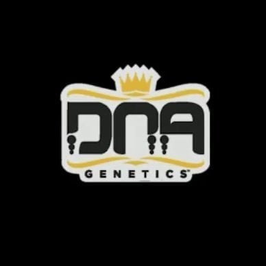 Photograph of product: DNA Genetics - Flower - Sharksbreath 2.0 (H) - 3.5g