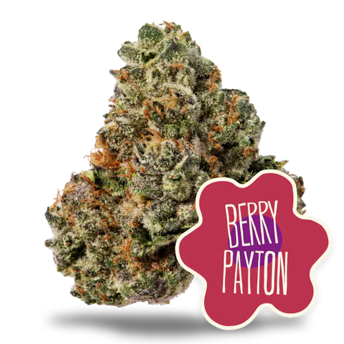 Photograph of product: Berry Payton 10g (Pre-Ground)