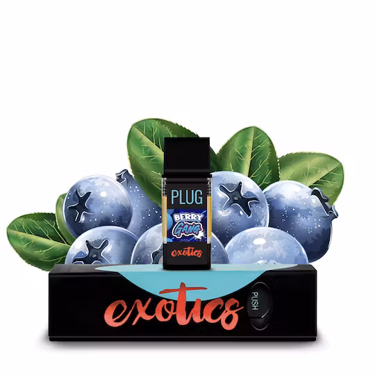 Photograph of product: Berry Gang [H] Exotics Pod | PlugPlay