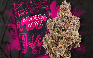 Photograph of product: Bodega Boyz | Flower | Lemon Berry | 3.5g | Oui'd | 21.37% TH-oui