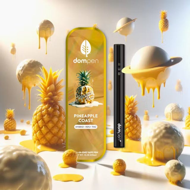 Photograph of product: Pineapple Coast | Disposable [1g] - 