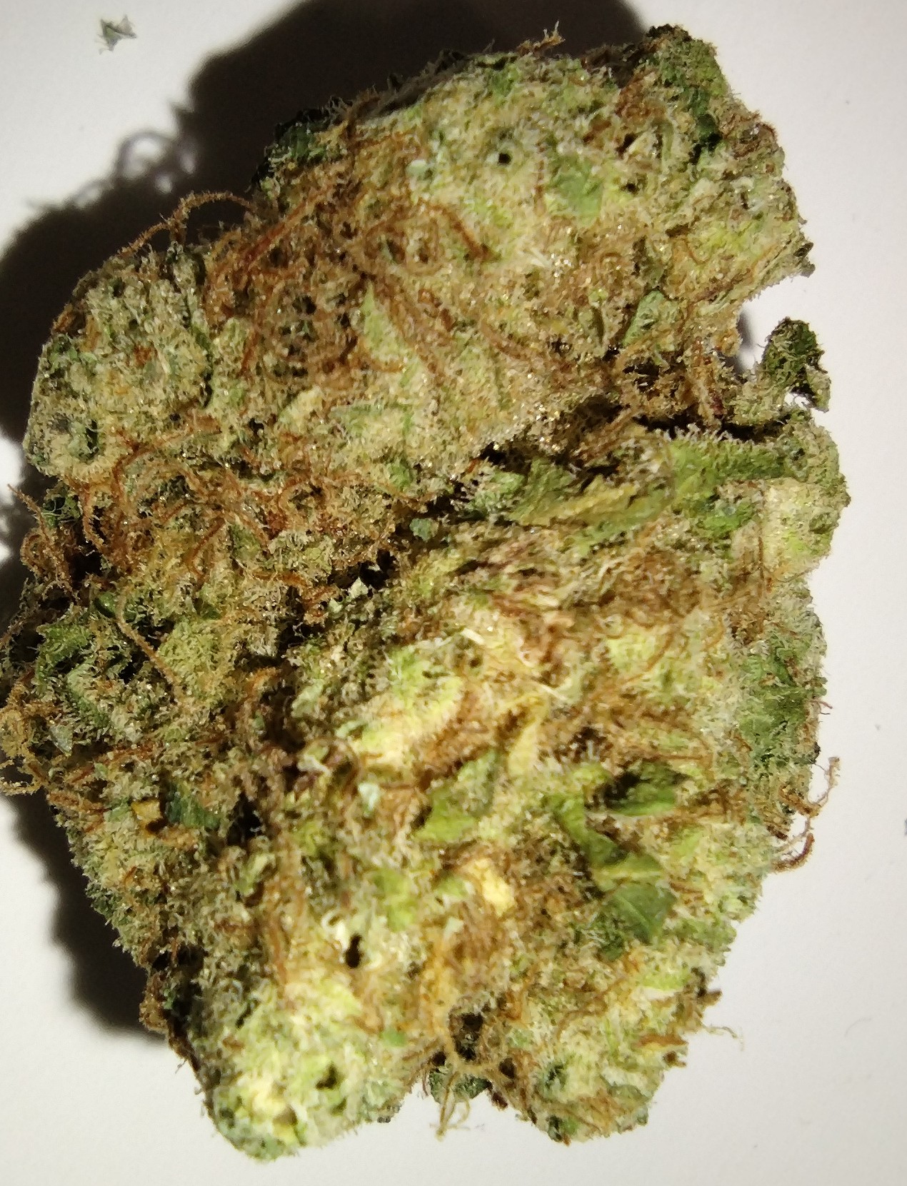 Photograph of product: 605 Oui'd - Bruce Banner - 7g Flower