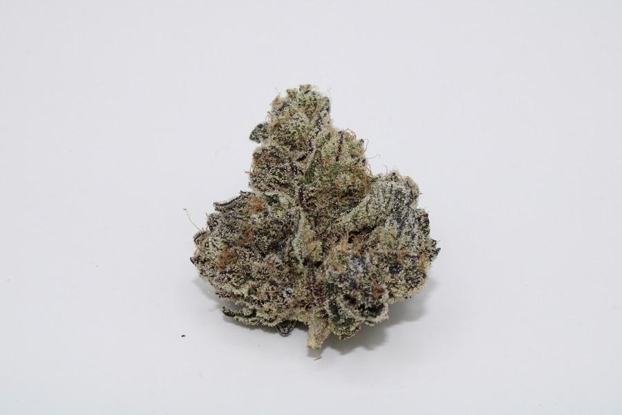 Photograph of product: SG - Trash Panda - PrePack Flower - 7g