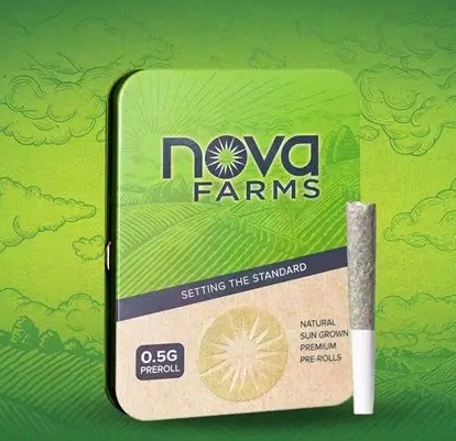 Photograph of product: GMO Pre-Roll | 0.5g