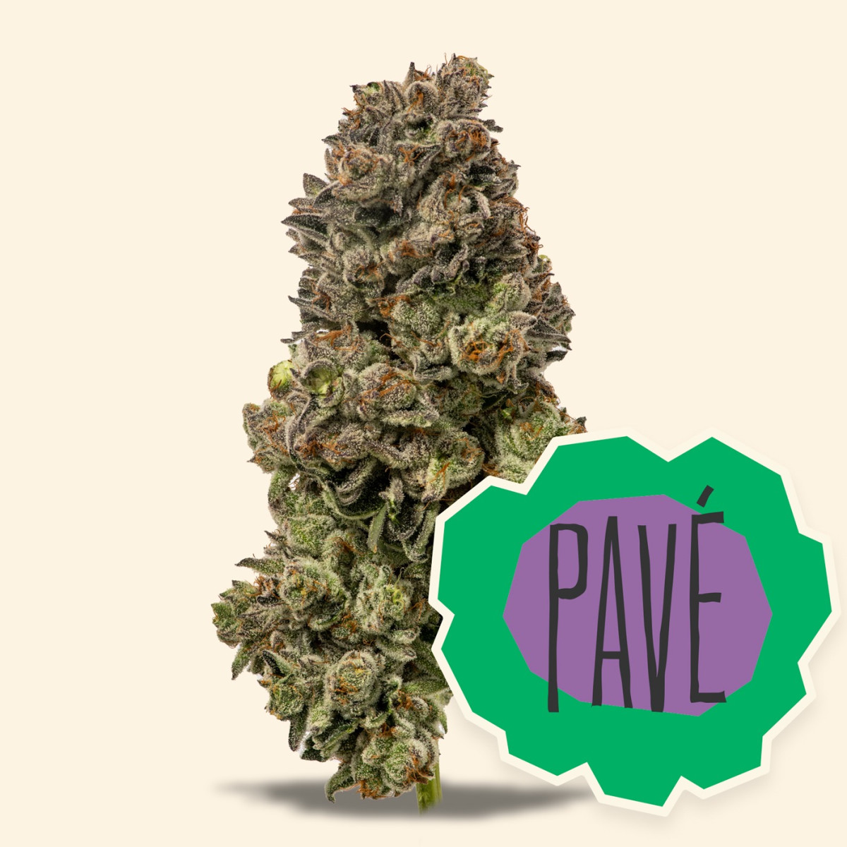 Photograph of product: District Oui'd | Pav - 28g