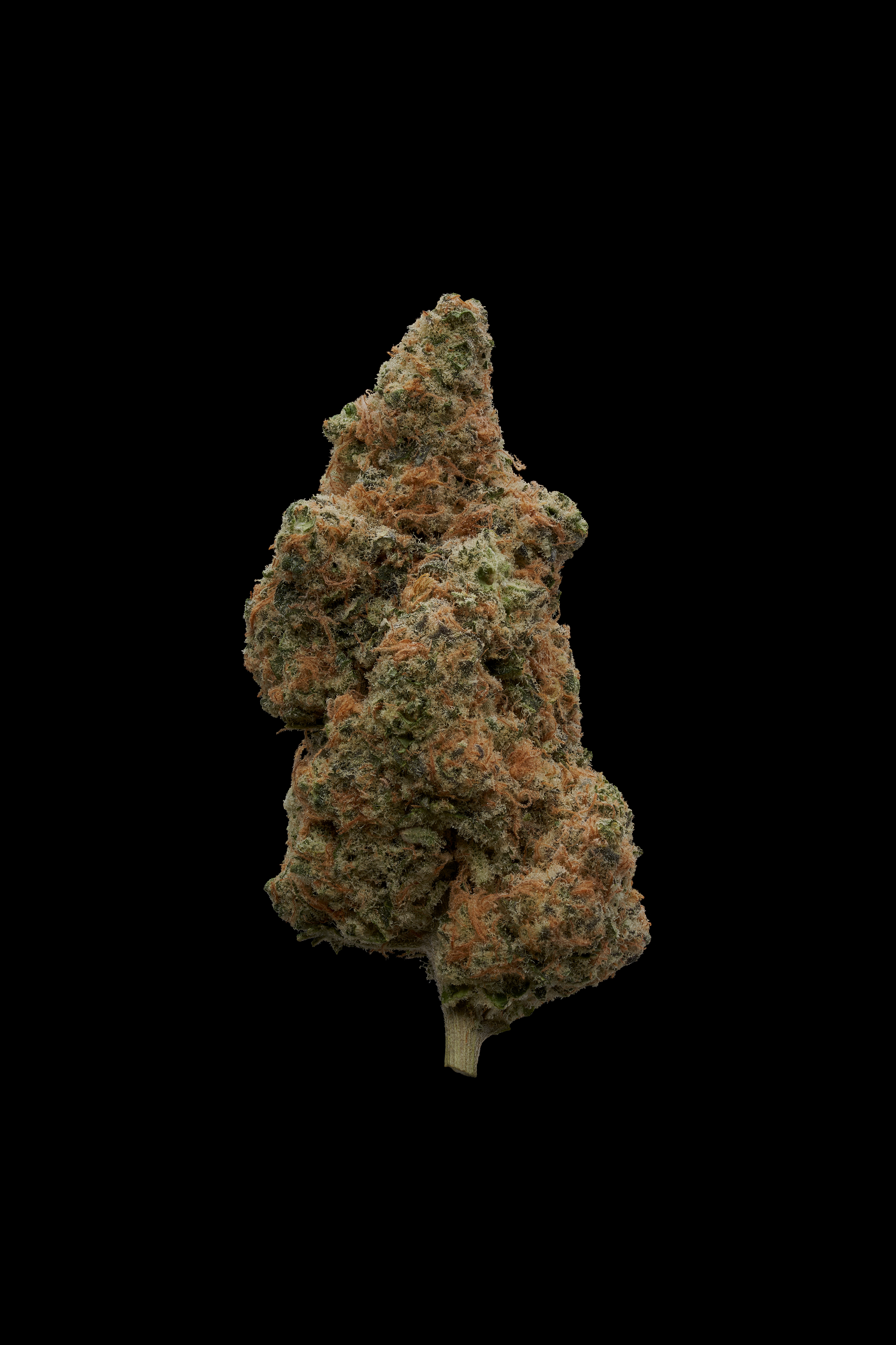 Photograph of product: Sensei Cult Candy Cane - 3.5g