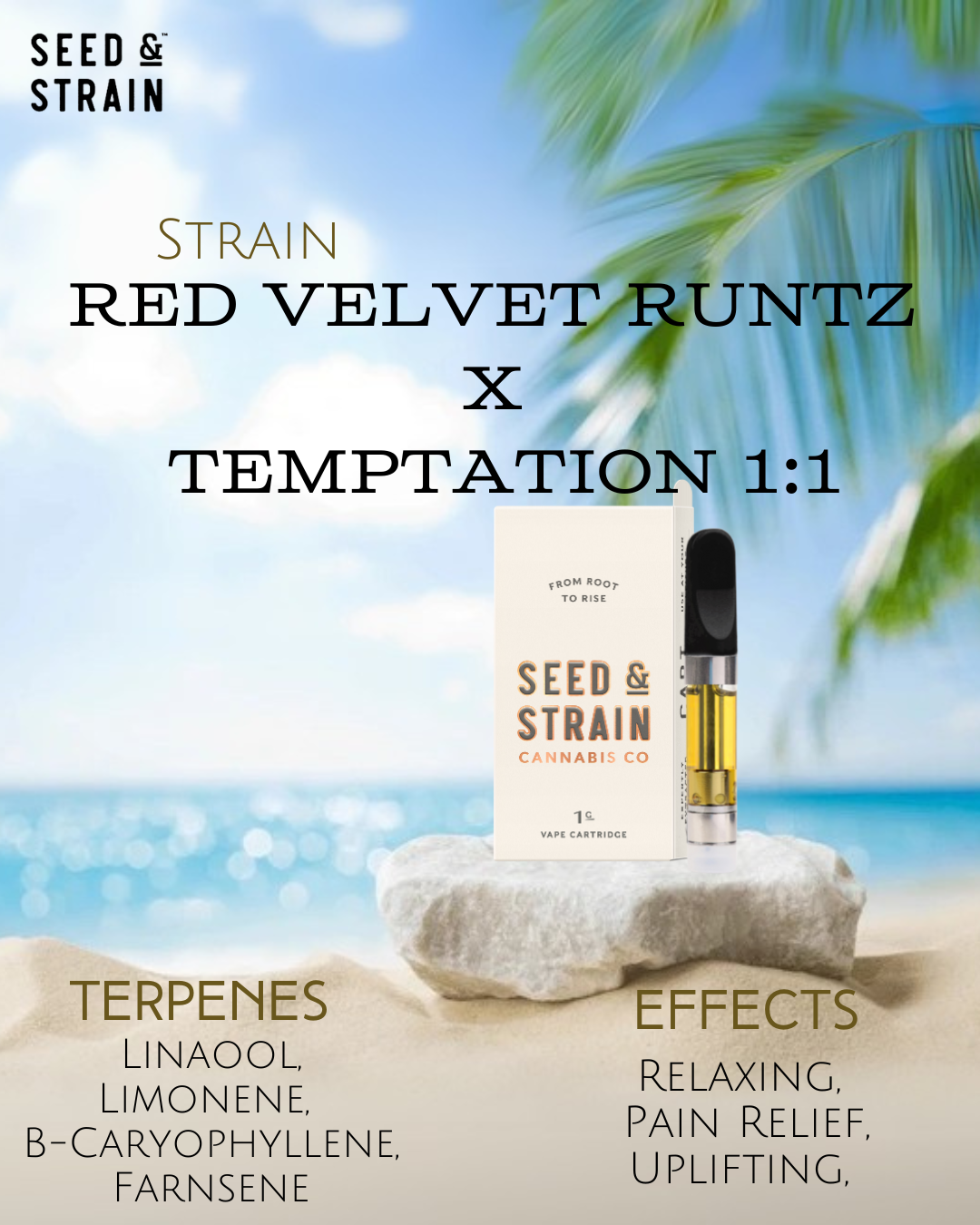 Photograph of product: SS Vaporizer - CO2 RVRxT 1:1