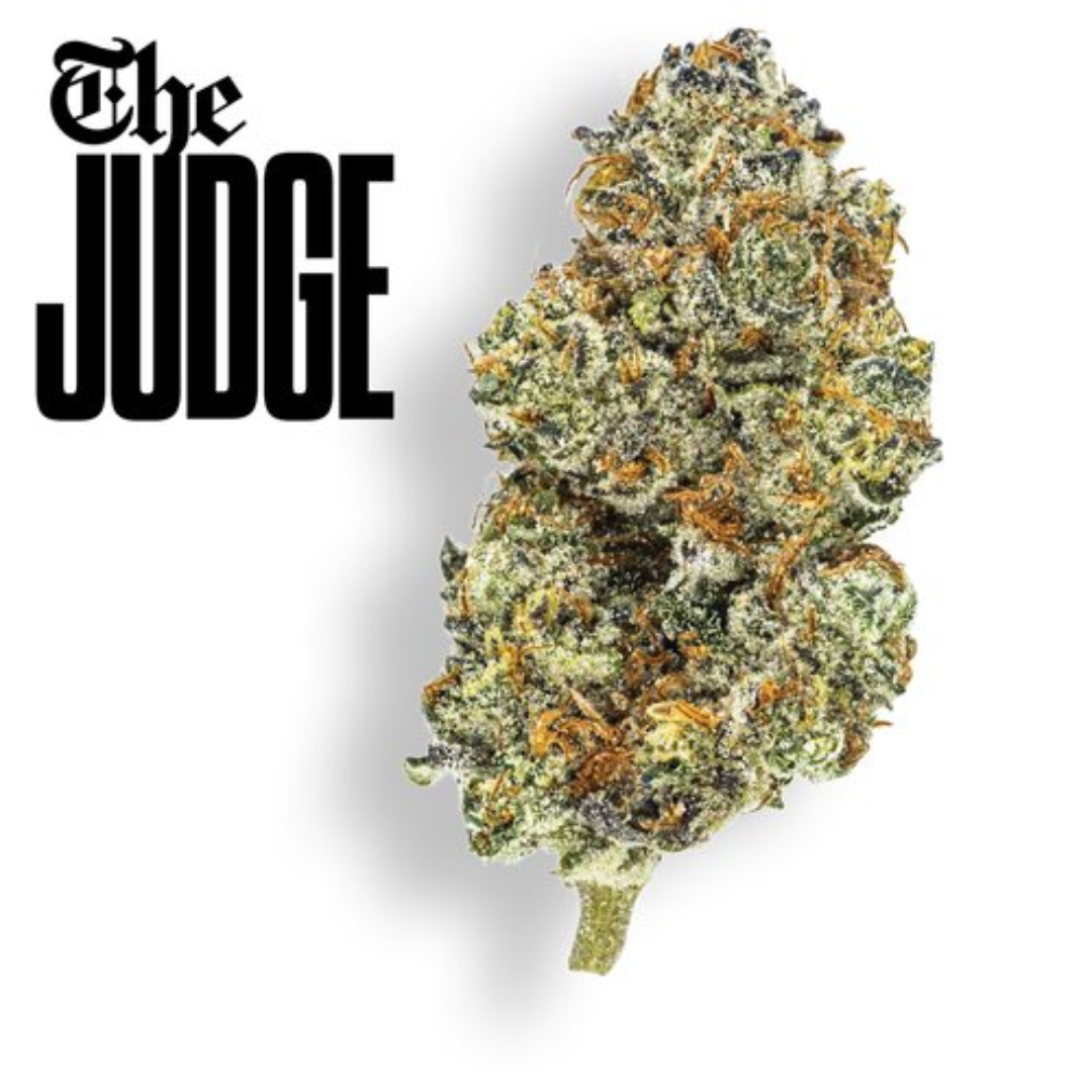 Photograph of product: Claybourne Co. - The Judge (Oui'd) Gold Cuts Flower - 3.5g
