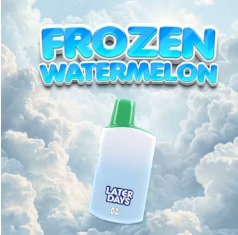 Photograph of product: Frozen Watermelon 0.84g -Disposable
