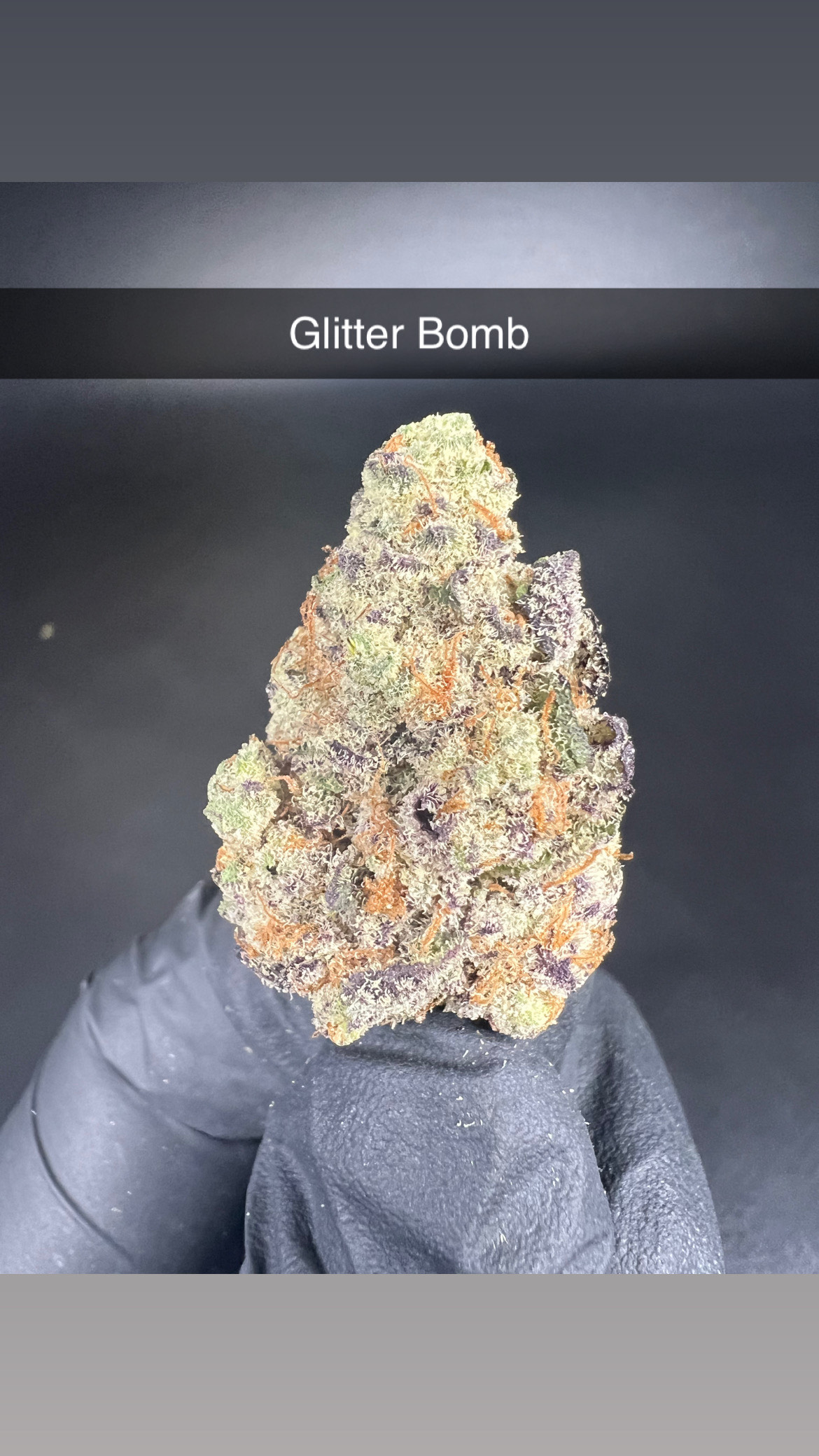 Photograph of product: Glitter Bomb - Flower - Oui'd - 28g