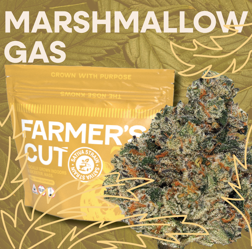 Photograph of product: MarshMallow Gas 28g (1oz)