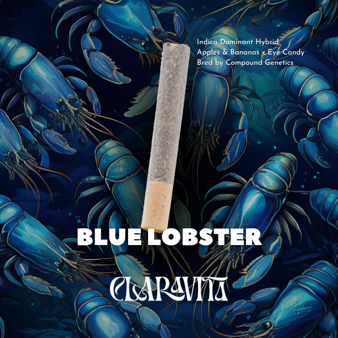 Photograph of product: Claravita | Blue Lobster | PRJ | 1g