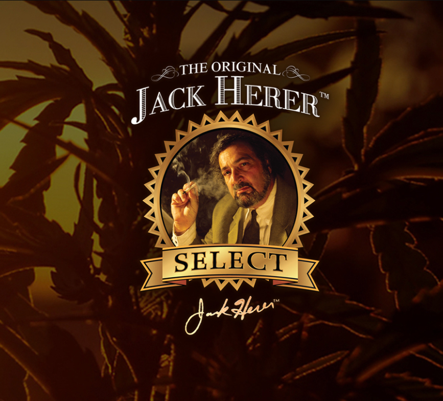 Photograph of product: JACK HERER SELECT