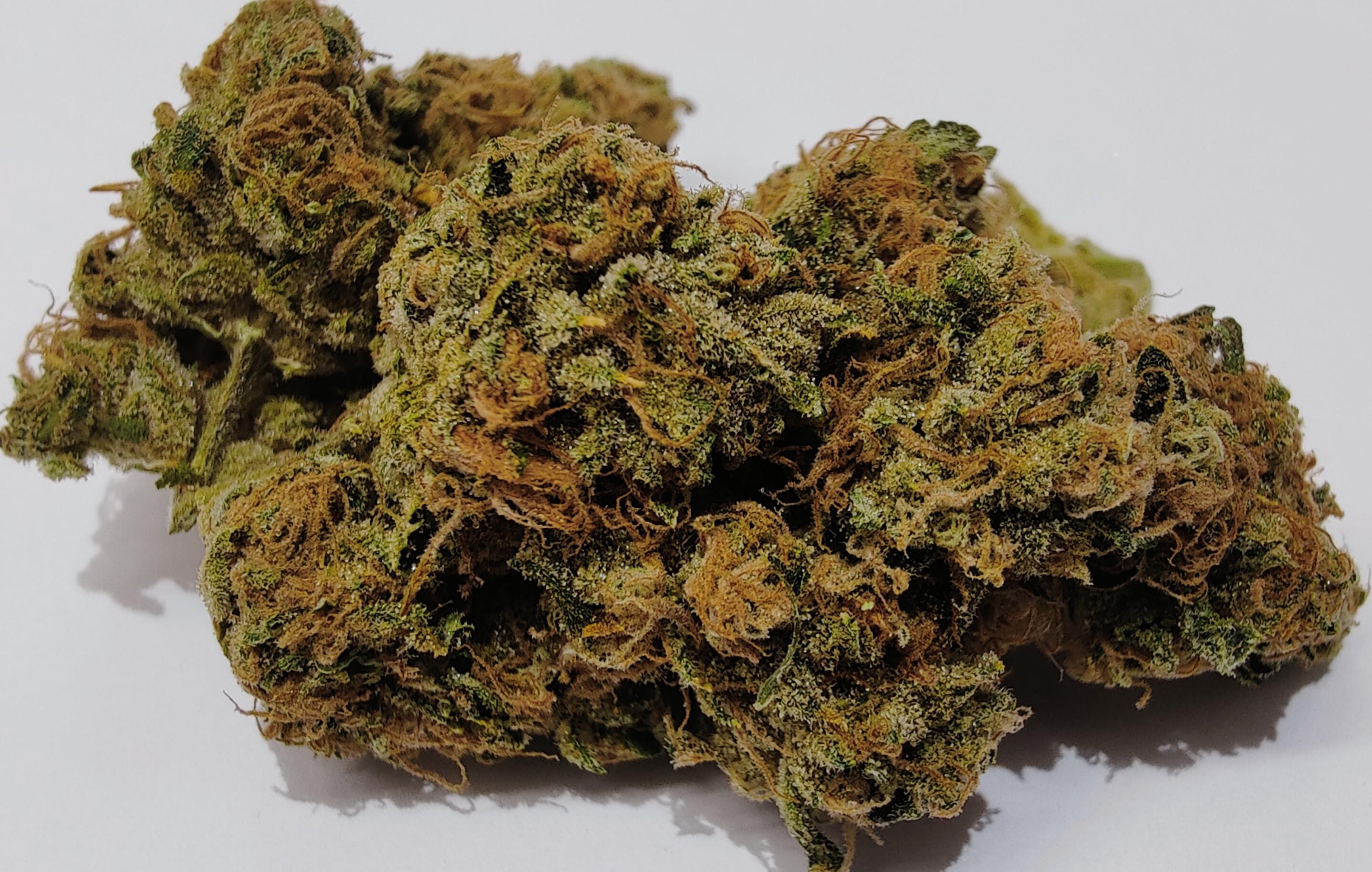 Photograph of product: Deli Flower - Black Lemon Glue - 28g