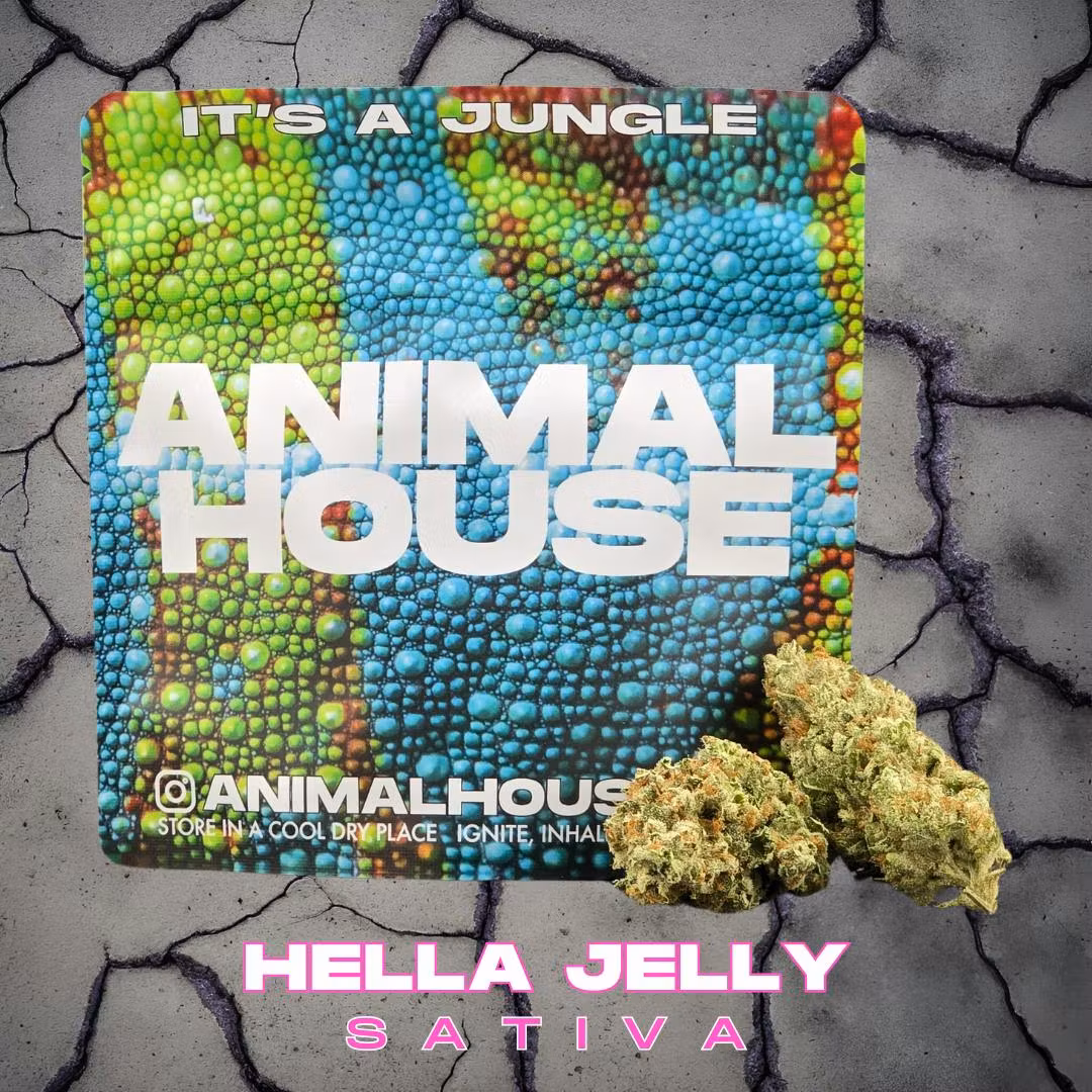 Photograph of product: Animal House | Hella Jelly Mixed | Light Flower Small - 5g