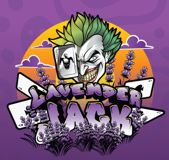 Photograph of product: Mota Flwr Tin Pack Lavender Jack
