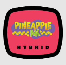 Photograph of product: Pineapple AK | Flower - 3.5g