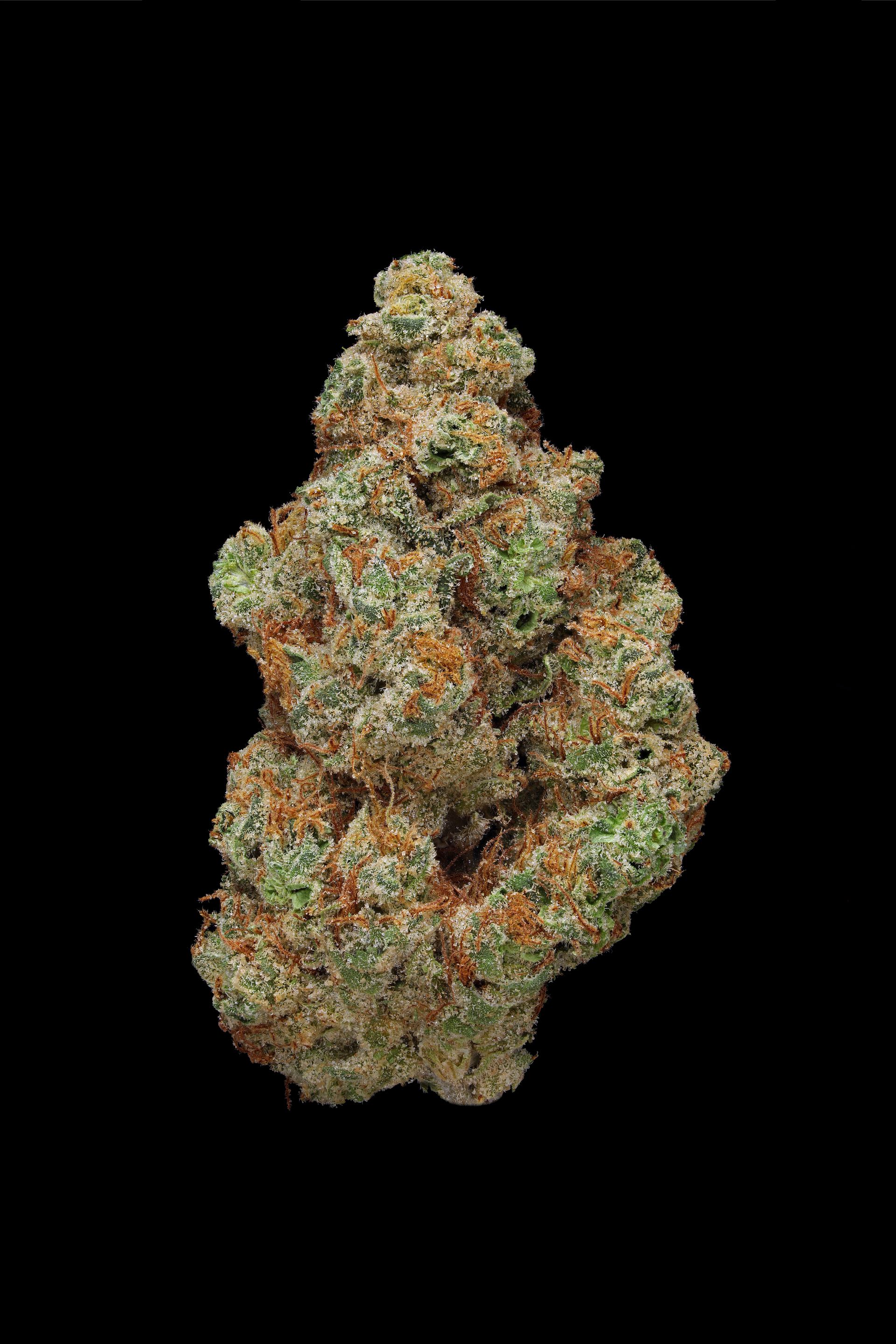 Photograph of product: Clade9 | 1g- G13