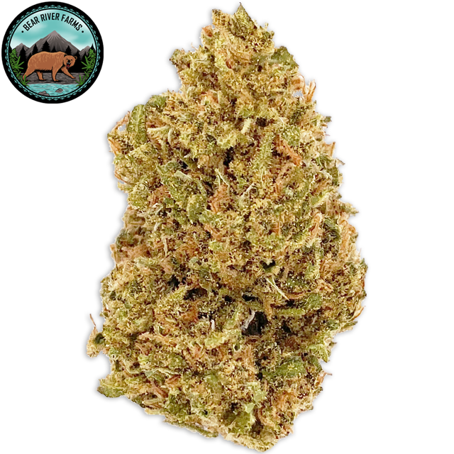 Photograph of product: JACK HERER (3.5G)