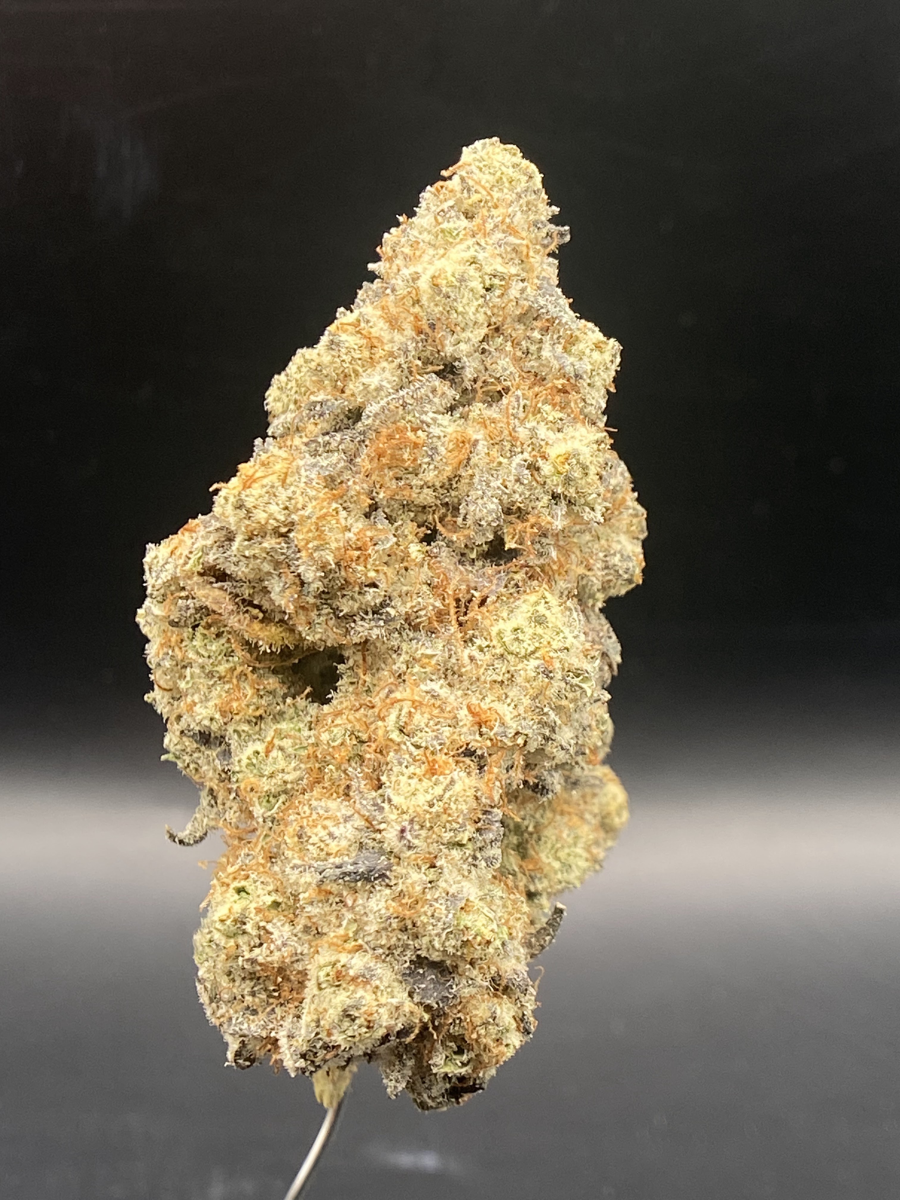 Photograph of product: Black Sheep | Hawaiian Lion - 2g