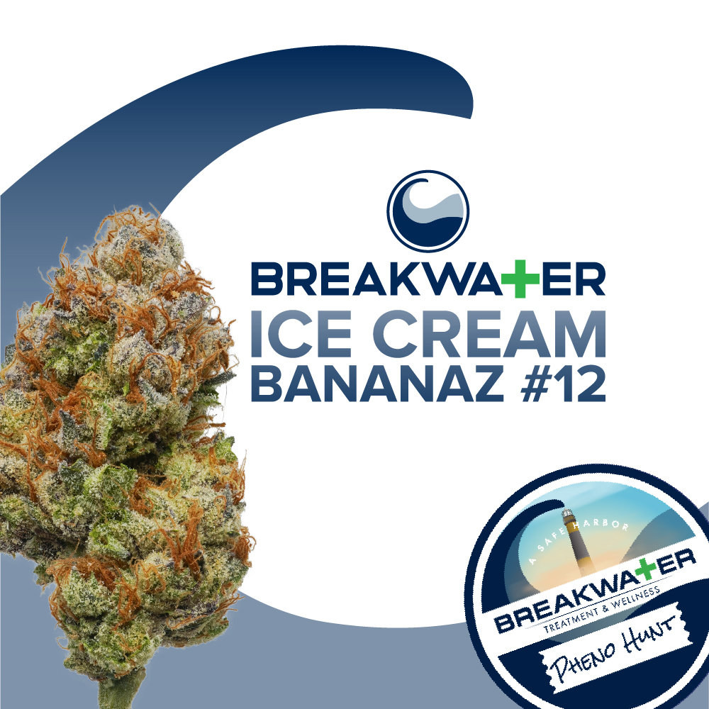 Photograph of product: Ice Cream Bananaz #12 Premium Flower - 7g