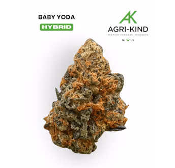 Photograph of product: Baby Yoda - 3.5g