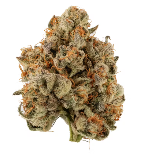 Photograph of product: Flower - Gush Mints - 3.5g