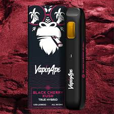 Photograph of product: Black Cherry Kush AIO | 1g