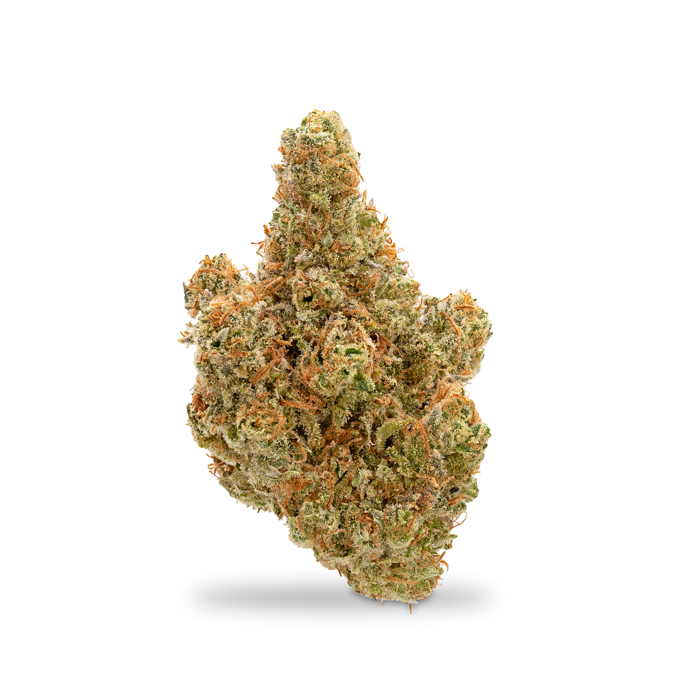 Photograph of product: Deep Creek Gardens - Moose & Lobsta - 1g