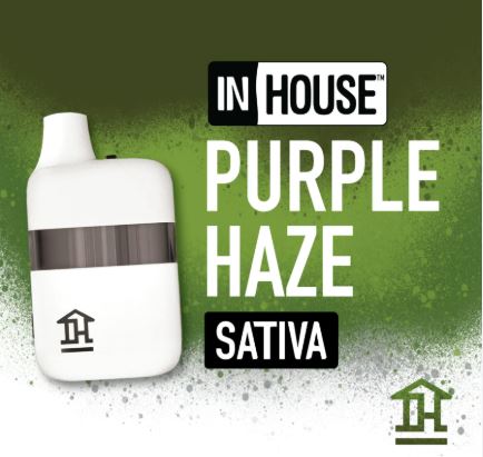 Photograph of product: Purple Haze | Disposable | 2g