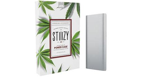 Photograph of product: Power Case - Silver