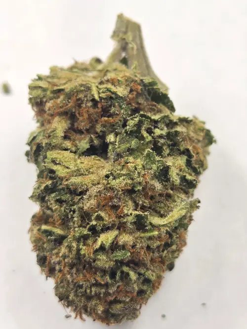 Photograph of product: Cherry Zangria