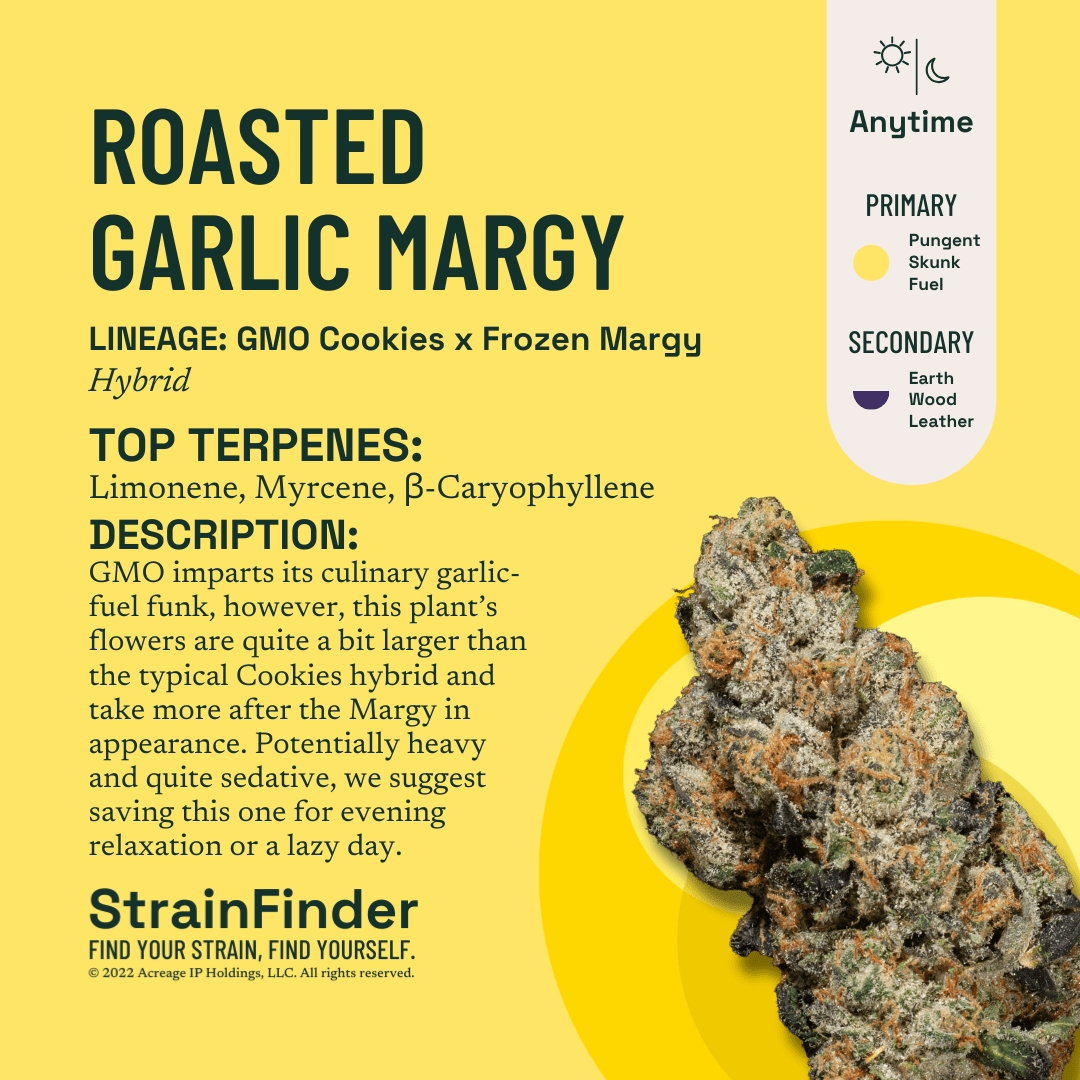 Photograph of product: The Botanist - Roasted Garlic Margy MT Flower - 3.5g