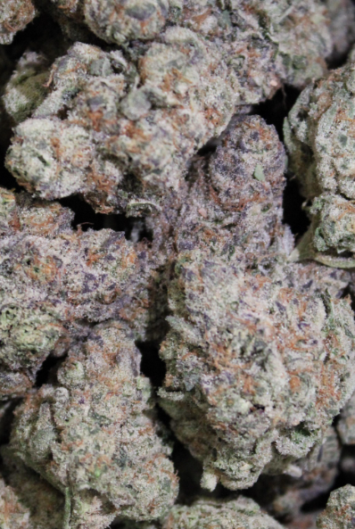 Photograph of product: DJ Short Blueberry | Whispering Green Exotics - 28g