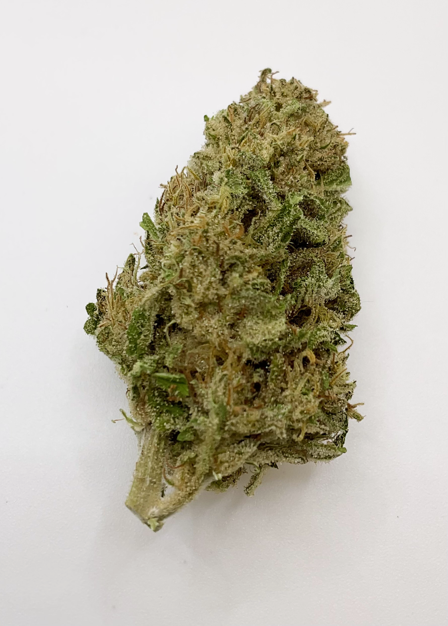 Photograph of product: Cannabaceae I Flower I Lemon Haze - 3.5g