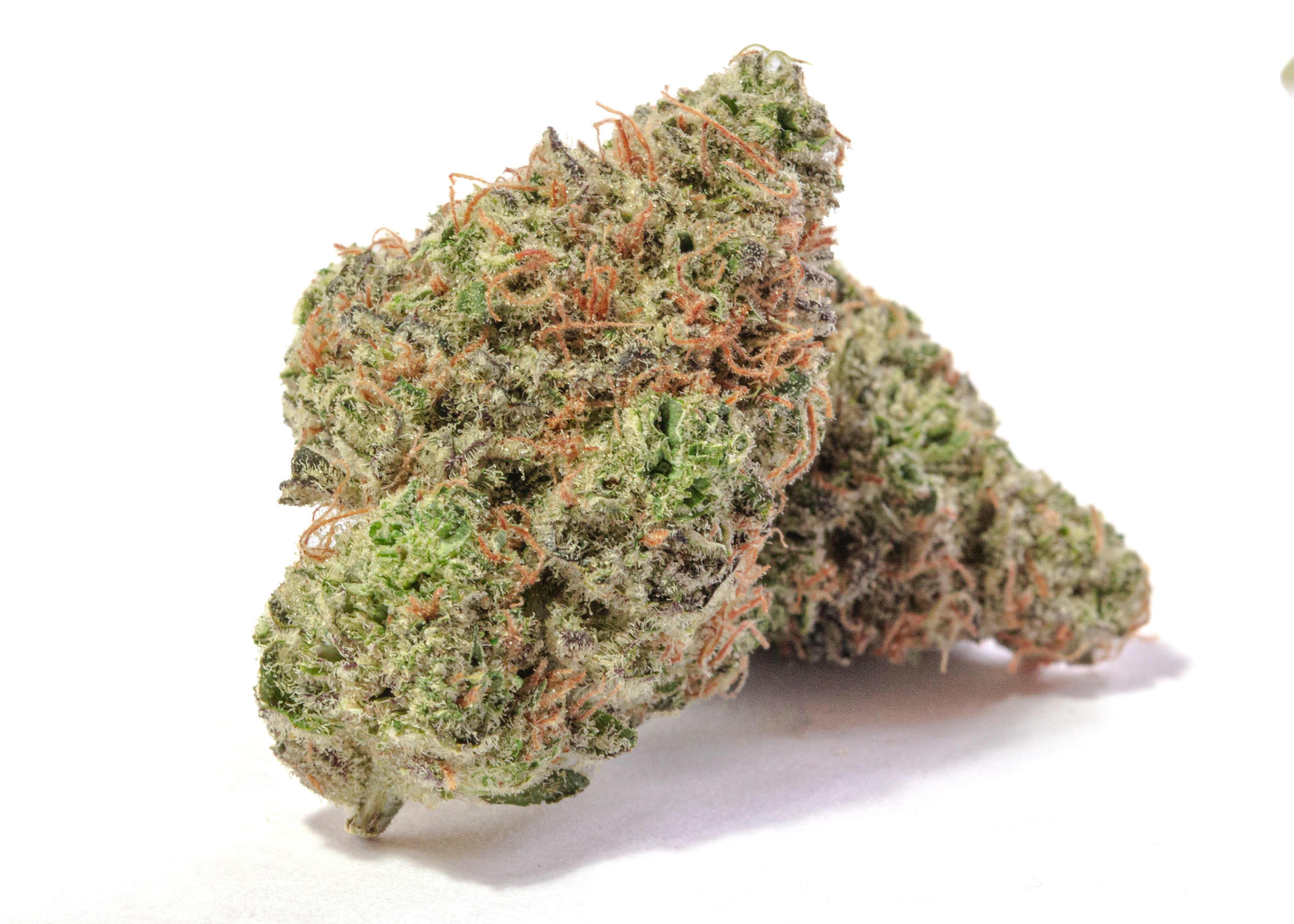 Photograph of product: Hella Jelly - Premium Sungrown - 3.5g