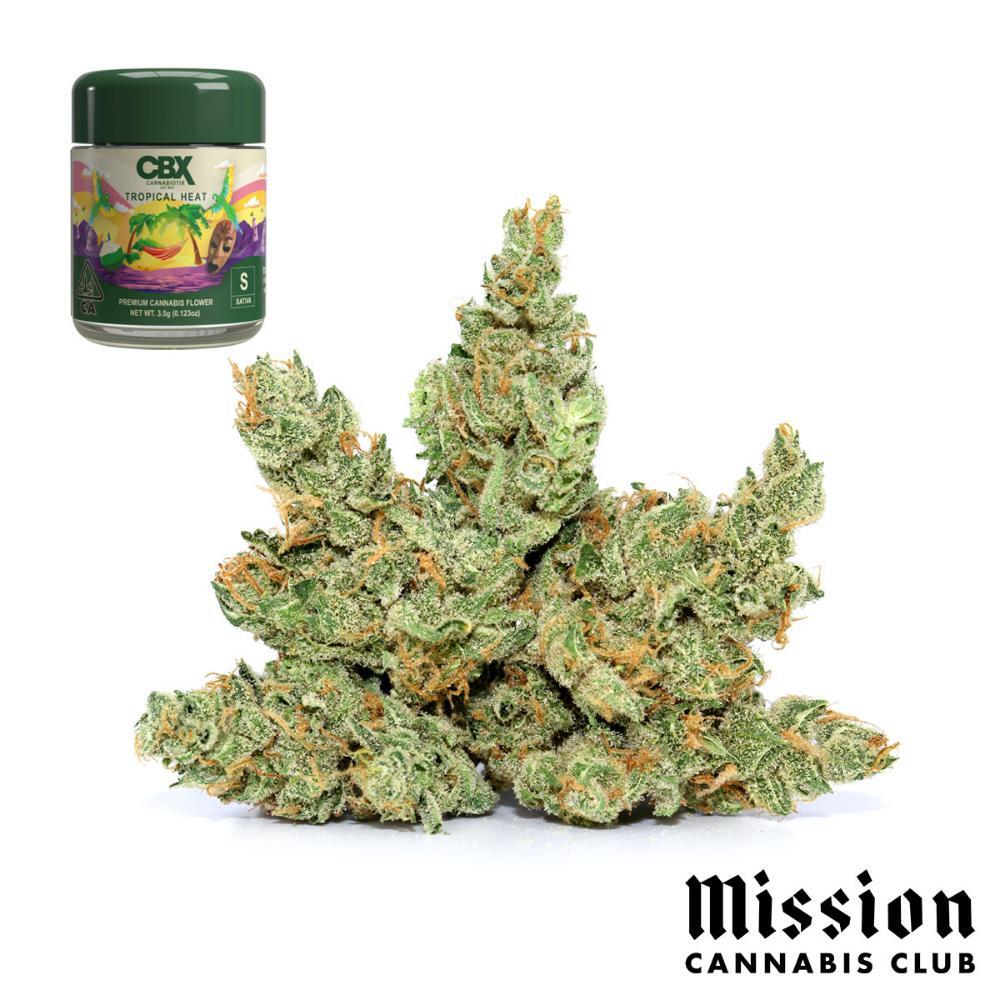 Photograph of product: Tropical Heat - 3.5g