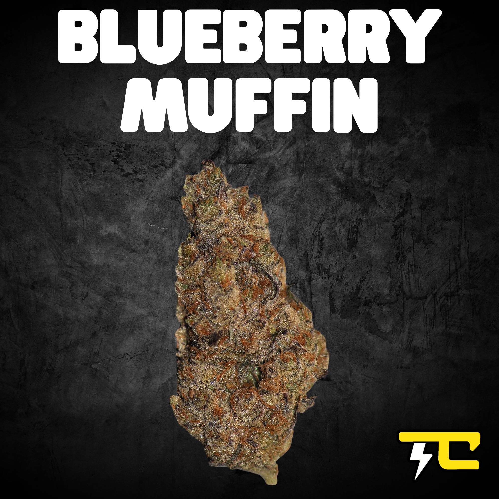 Photograph of product: BLUEBERRY MUFFIN 14G
