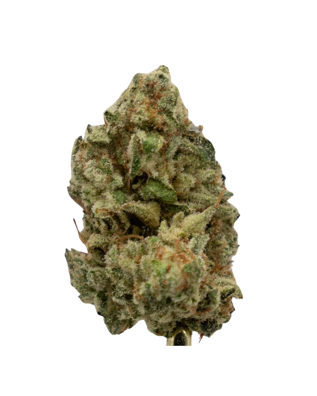 Photograph of product: 777 - Tacky Glue - 3.5g