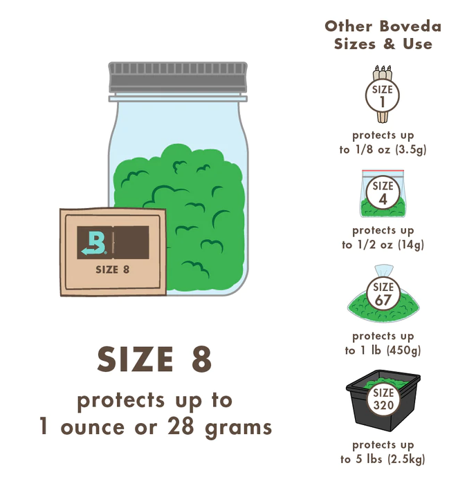Photograph of product: Boveda - Humidity Pack | 62%