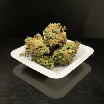 Photograph of product: Oceana Gardens | Garlic Budder Flower - 28g