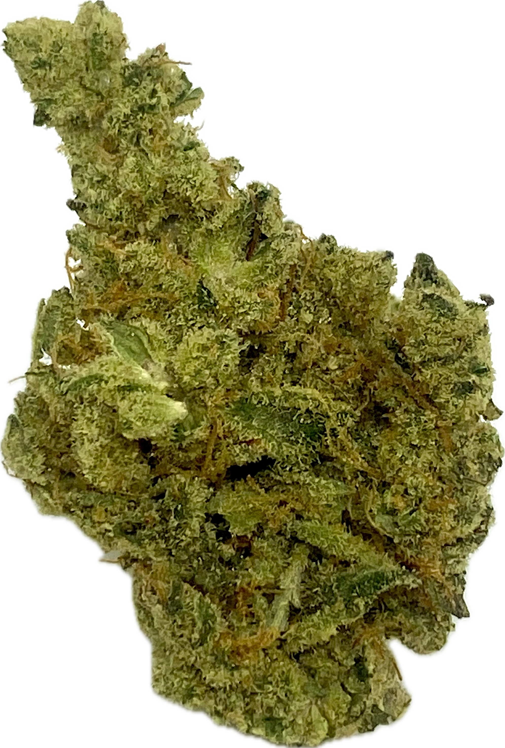 Photograph of product: Chronicseur - Super Lemon Haze - Bulk Flower - 1g