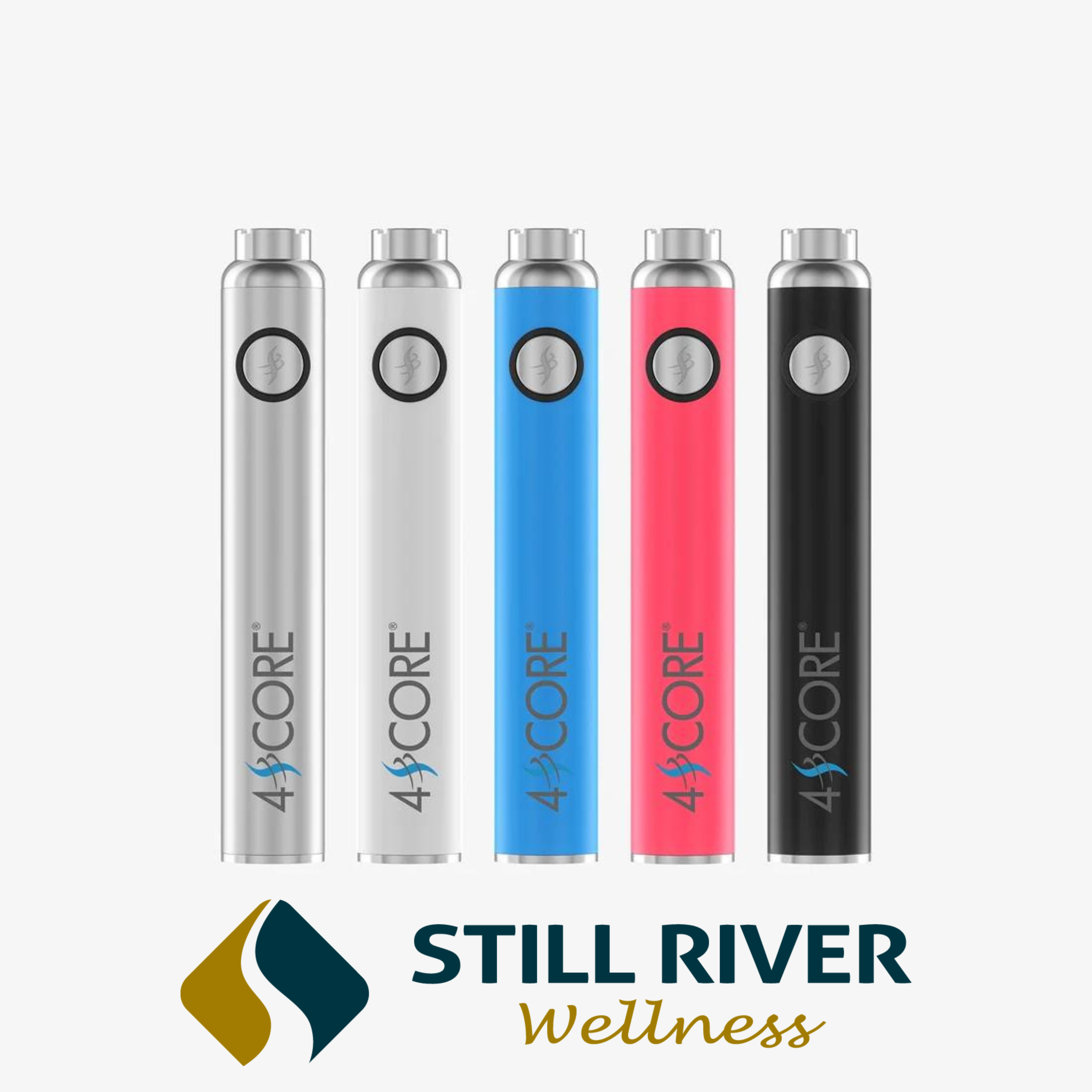 Photograph of product: Dual Port Battery (A402)