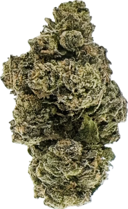 Photograph of Product: (Shaka) Gush Mints small buds - 7g