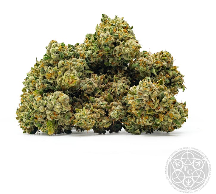 Photograph of product: Gas Leak - 1g Preroll- The Fresh Connection - 