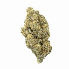 Photograph of product: OZ - South Beach - (Hybrid) - 27.11%TH-oui (+/-10%) - Bud & Mary - 9794 - 28g