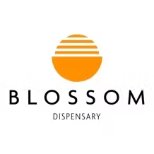Photograph of product: Blossom T-Shirt | Black