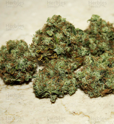 Photograph of product: GH Cheese | 28g